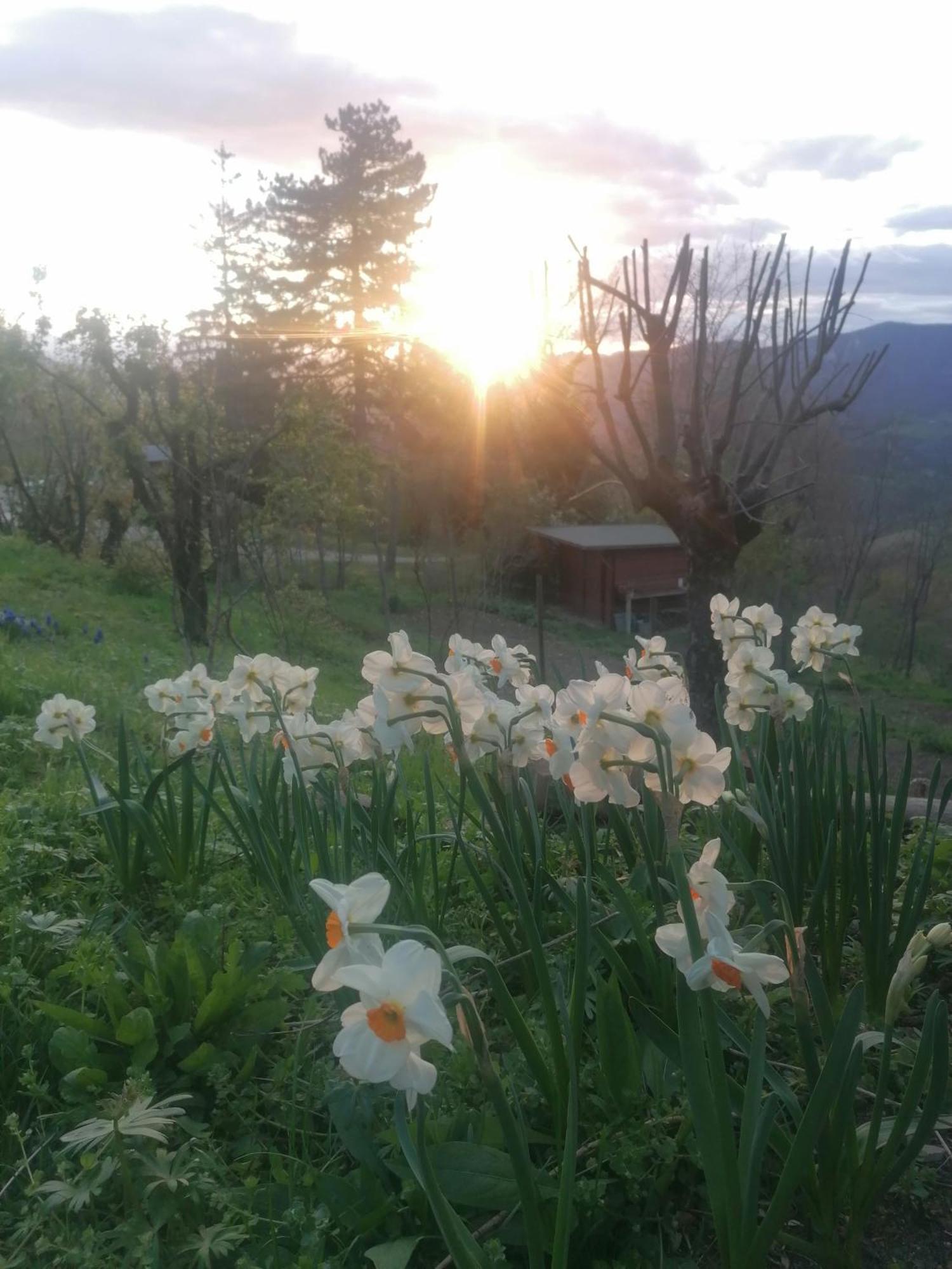 Ca' Dei Ste Bed & Breakfast Valle  Екстериор снимка